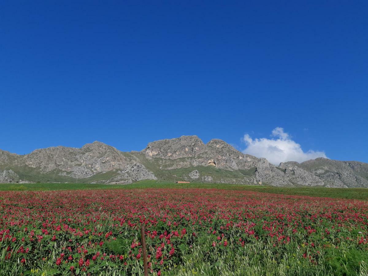 Crapa Licca Villa Ventimiglia di Sicilia Buitenkant foto