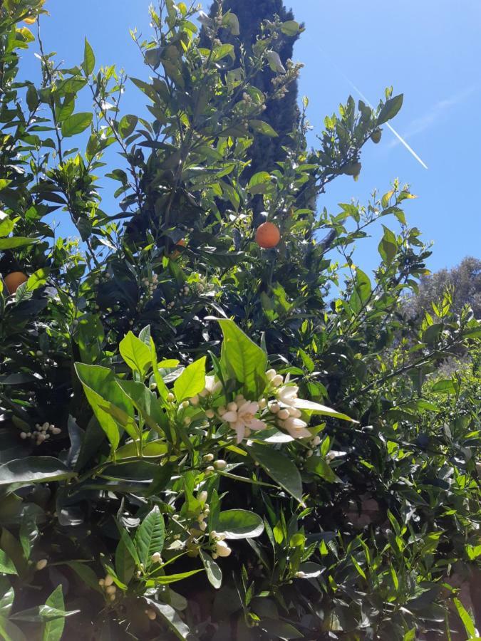 Crapa Licca Villa Ventimiglia di Sicilia Buitenkant foto